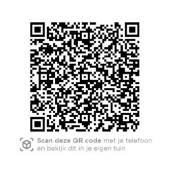 4 Seasons Accor Loungestoel - Antraciet -Tuinstoelen Winkel 1000042588 0103