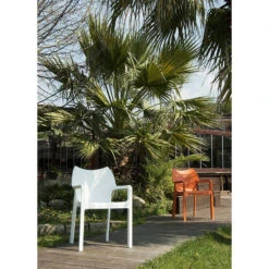 Garden Impressions Diva Tuinstoel Wit - 2 Stuks -Tuinstoelen Winkel 1000054064 0102