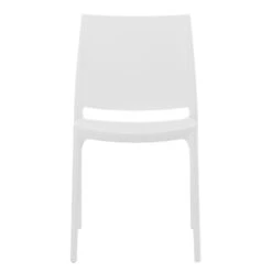 Tuinstoelen Winkel -Tuinstoelen Winkel 1000096675 0101