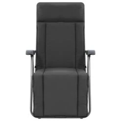 VidaXL Tuinstoelen Met Kussen Inklapbaar 2 St Grijs -Tuinstoelen Winkel d7b8ff4d2de8420b8d5a74b7b8ff802c